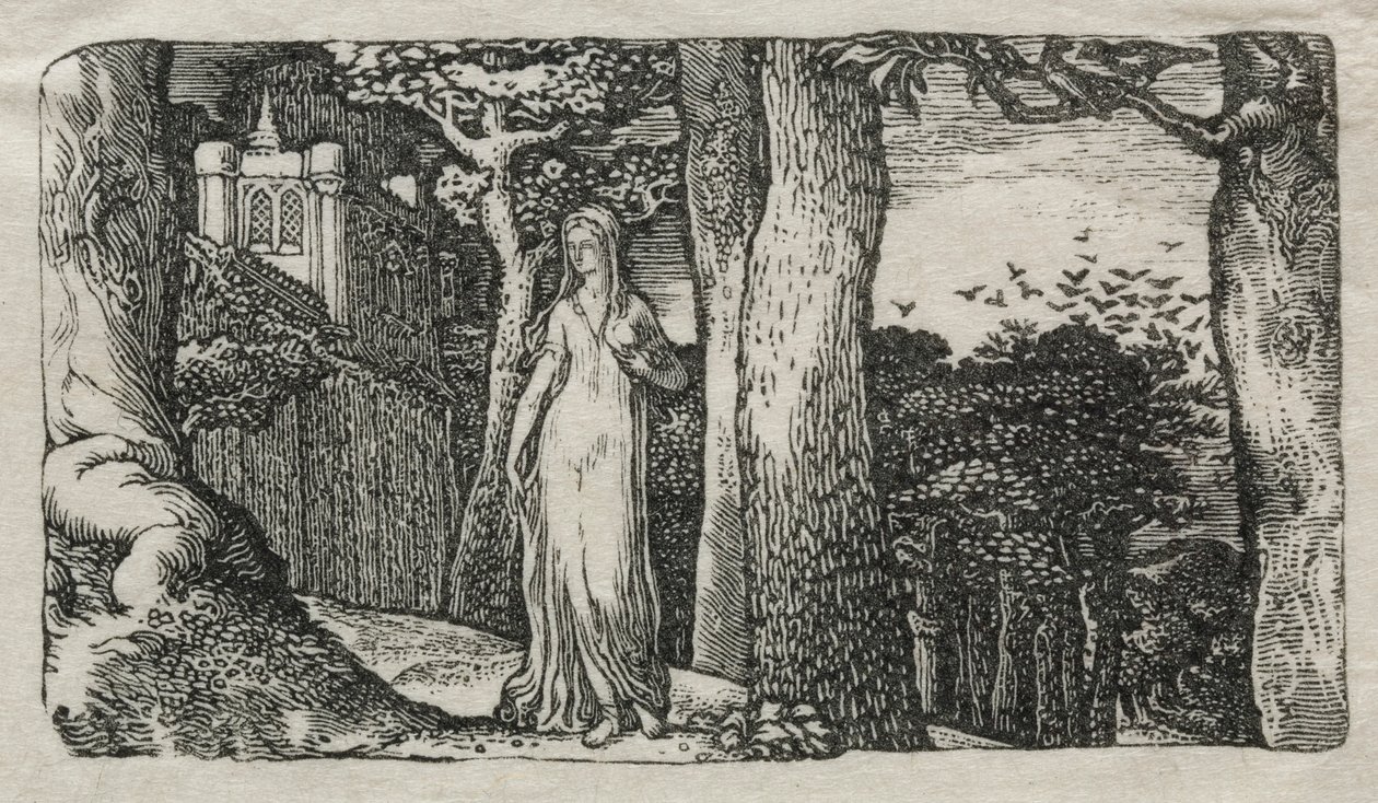 The Lady and the Rooks, 1829. af Edward Calvert