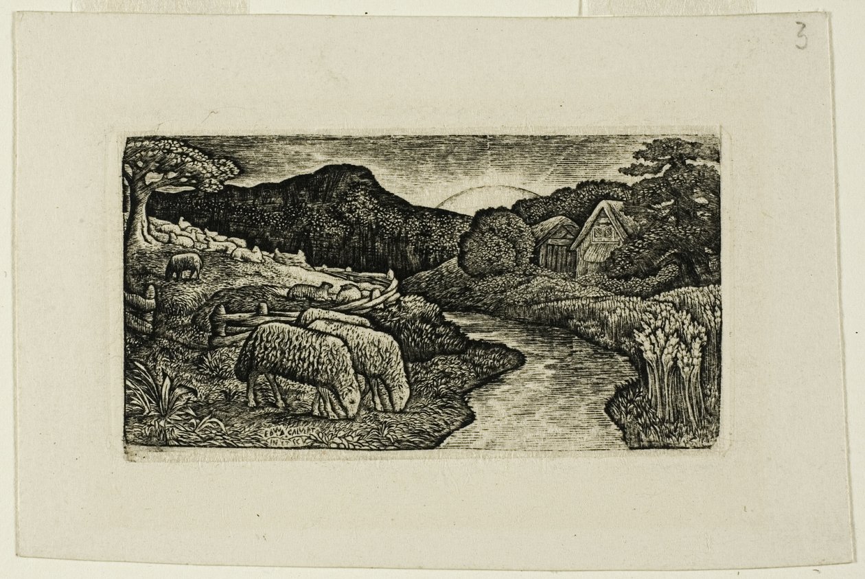 Fårene på denne Græsgang af Edward Calvert