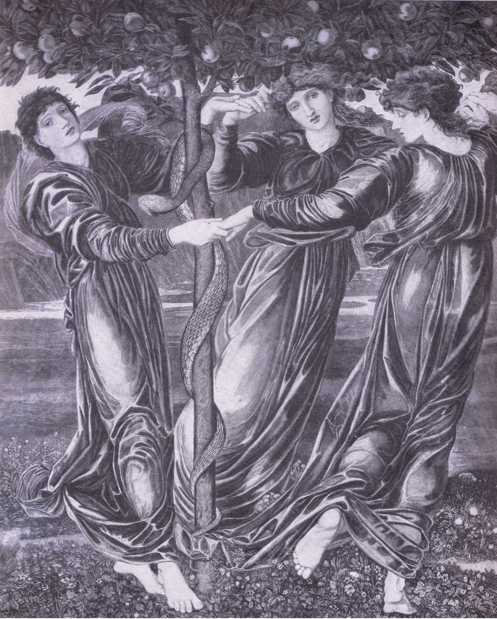 Hesperides have, Bibby