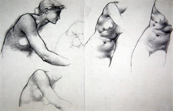 Tilgivelsens træ - Studie til figuren Phyllis, ca. 1882 (blyant på papir) af Edward Coley Burne Jones