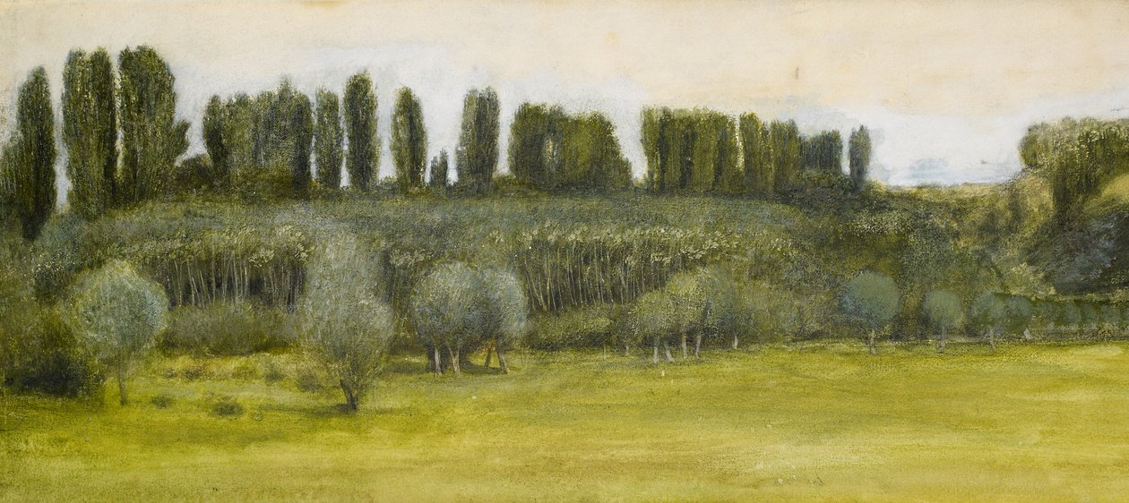 Landskab med Piletræer og Popler, Studie af Edward Burne Jones