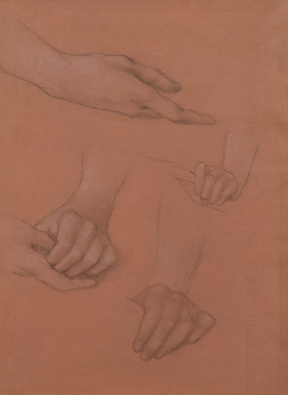 Studies of Hands for the Portrait of Mary Gaskell (sort-hvidt kridt på papir) af Edward Burne Jones