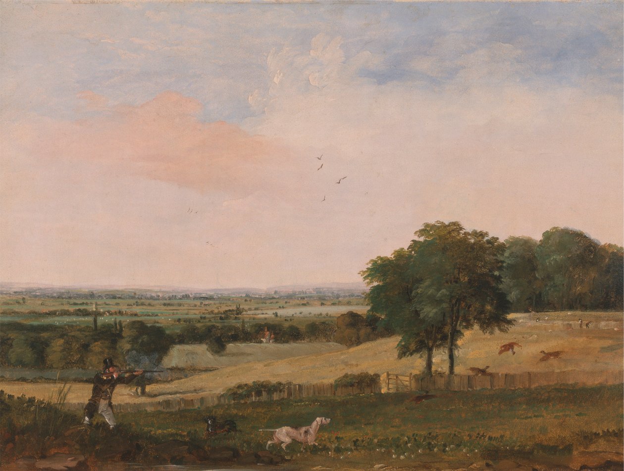 Agerhønsskydning af Edward Duncan