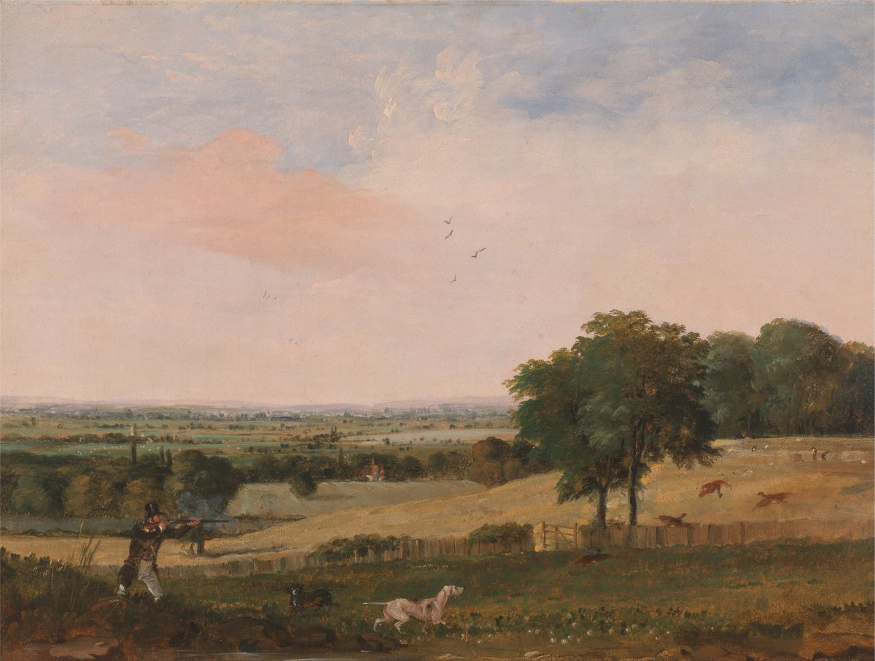 Skydning af agerhøns af Edward Duncan