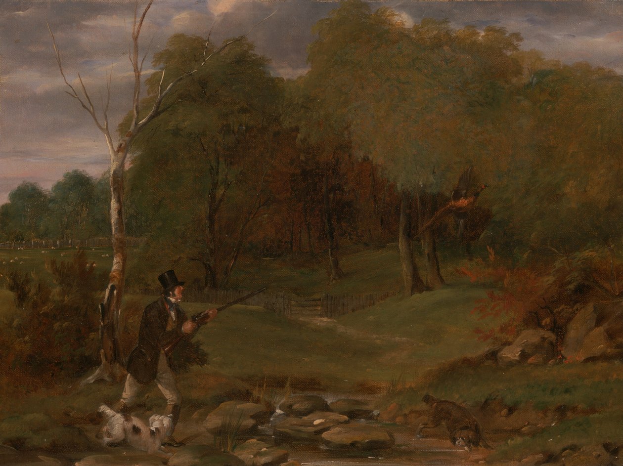 Fasanskydning af Edward Duncan