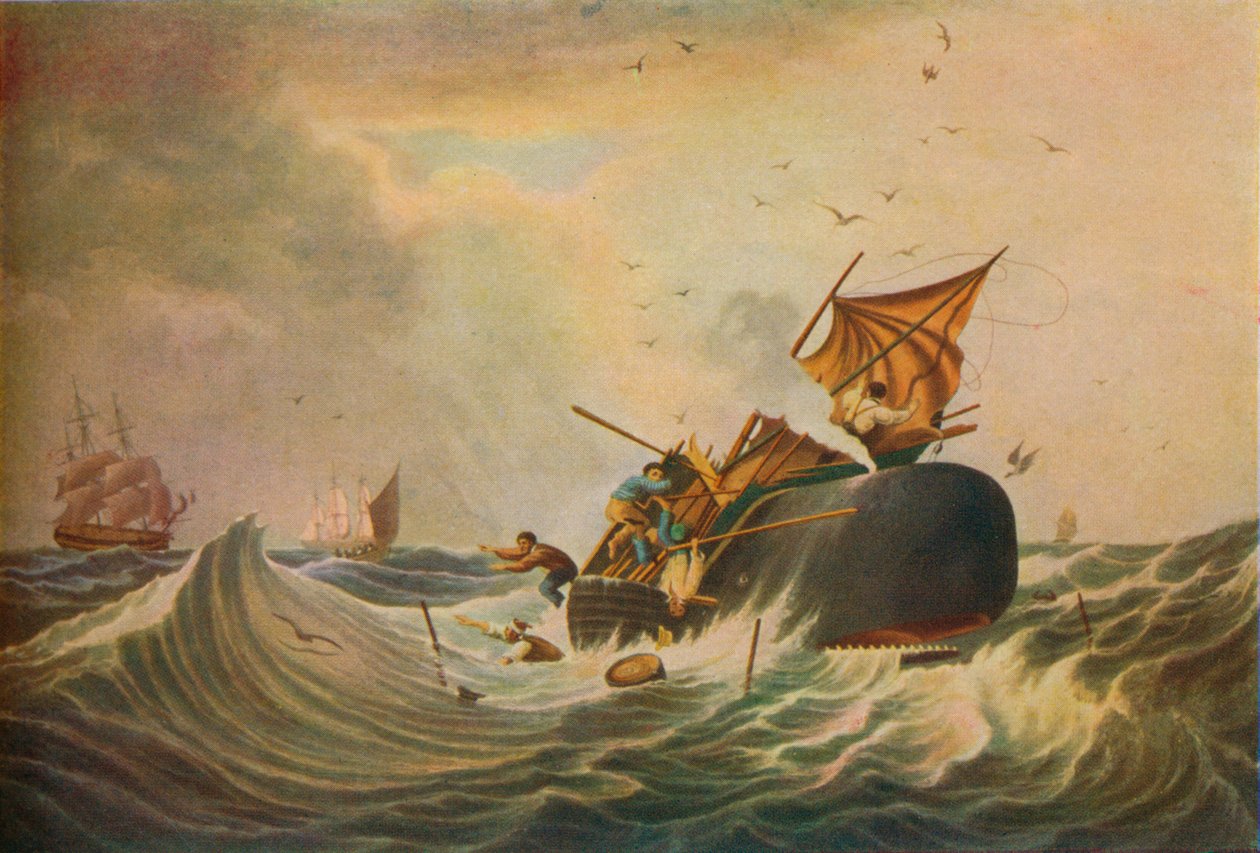 South Sea Whale Fishery, 1836 af Edward Duncan
