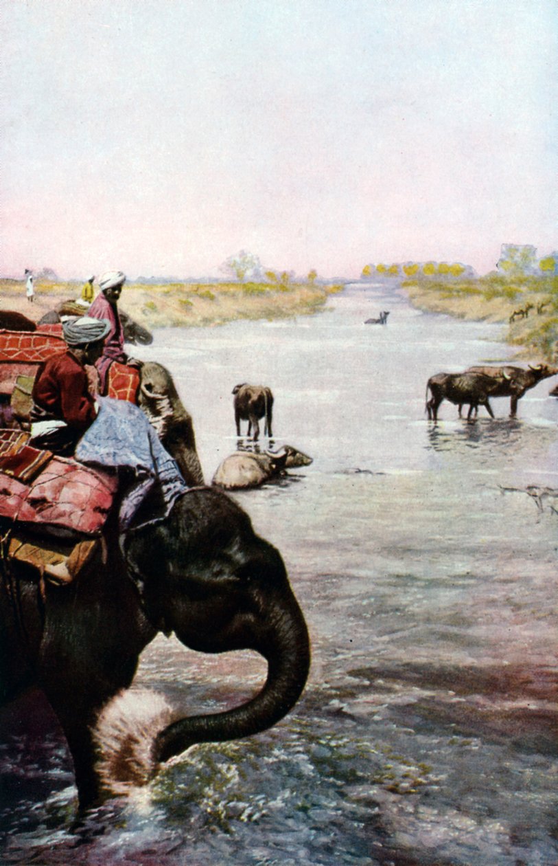 Flodscene, Centralindien, c1930