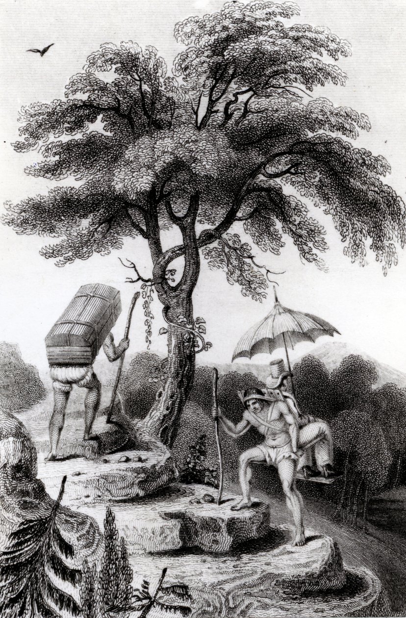Udsigt over passet fra Quindio, illustration fra 
