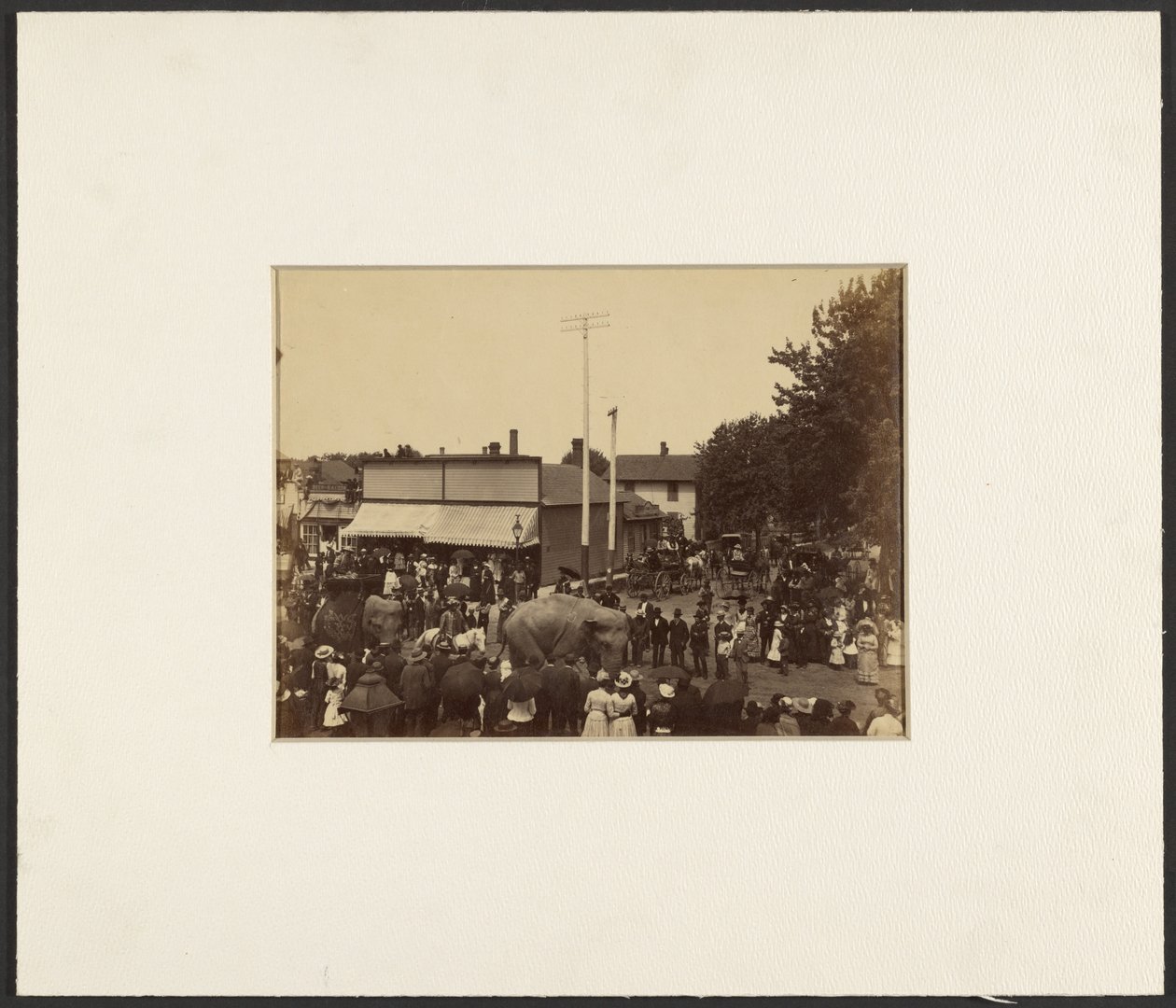 [Elefanter går gennem byen, Maple City] af Edward H. Hart