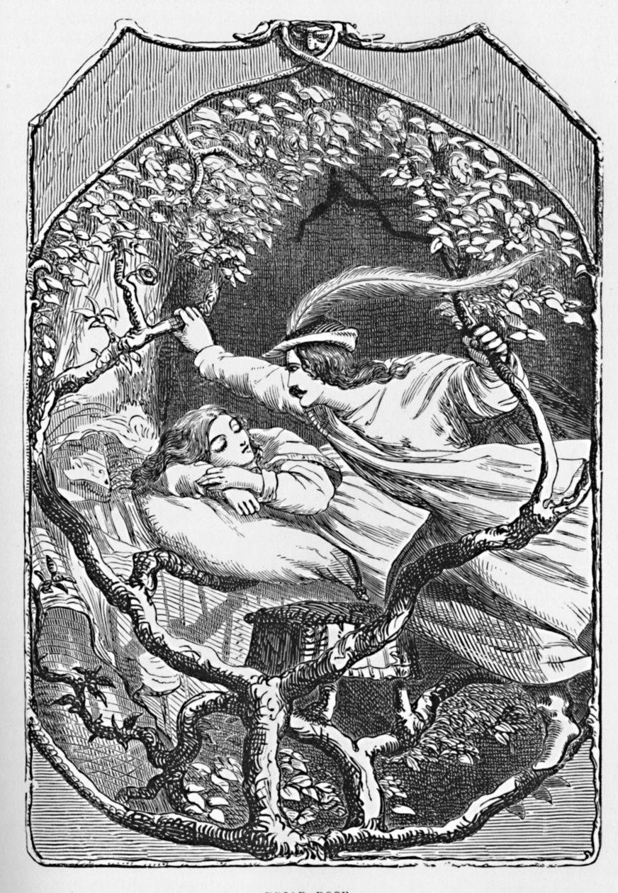 Briar Rose, 1901 af Edward Henry Wehnert