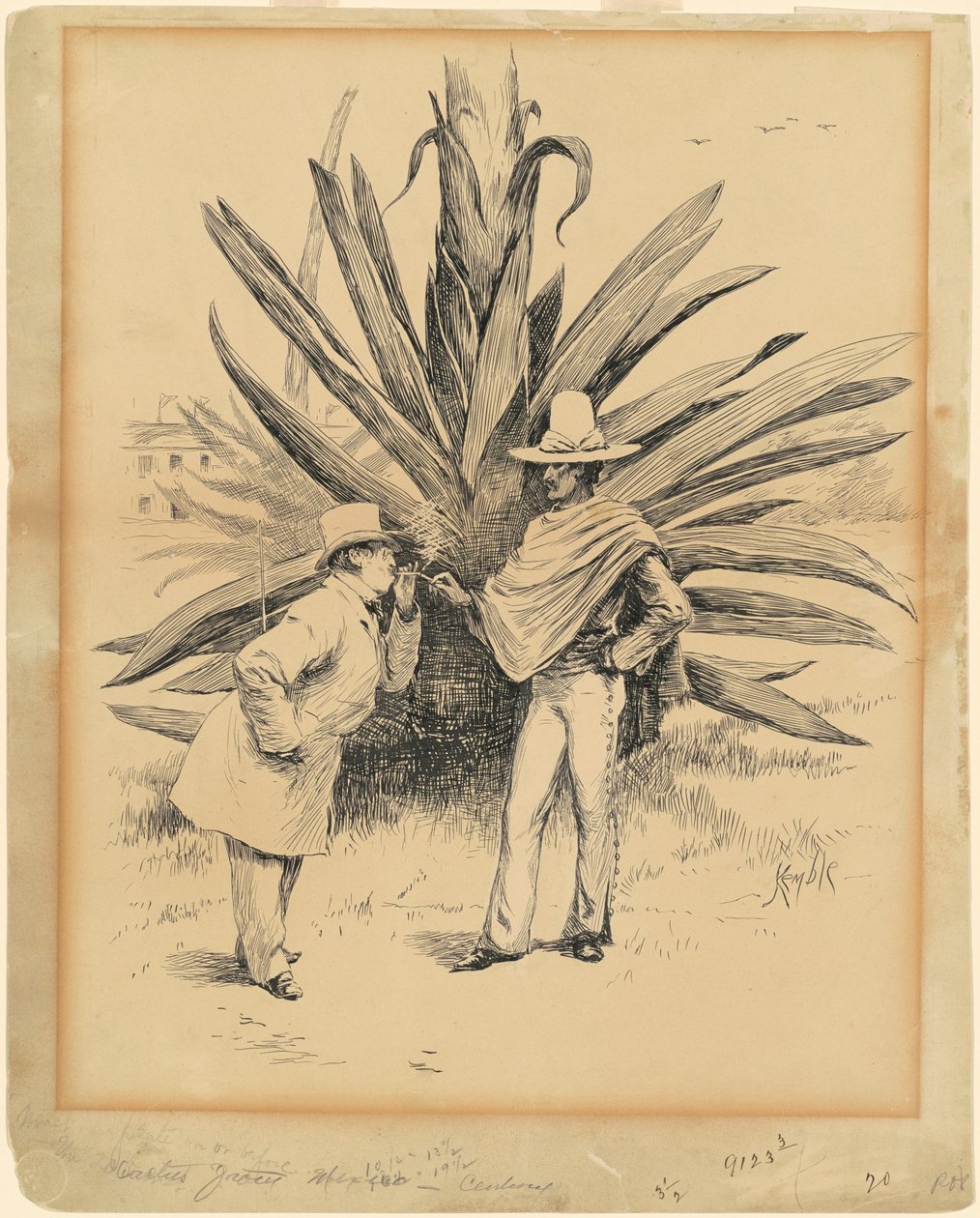 Kaktus fra Mexico af Edward Kemble
