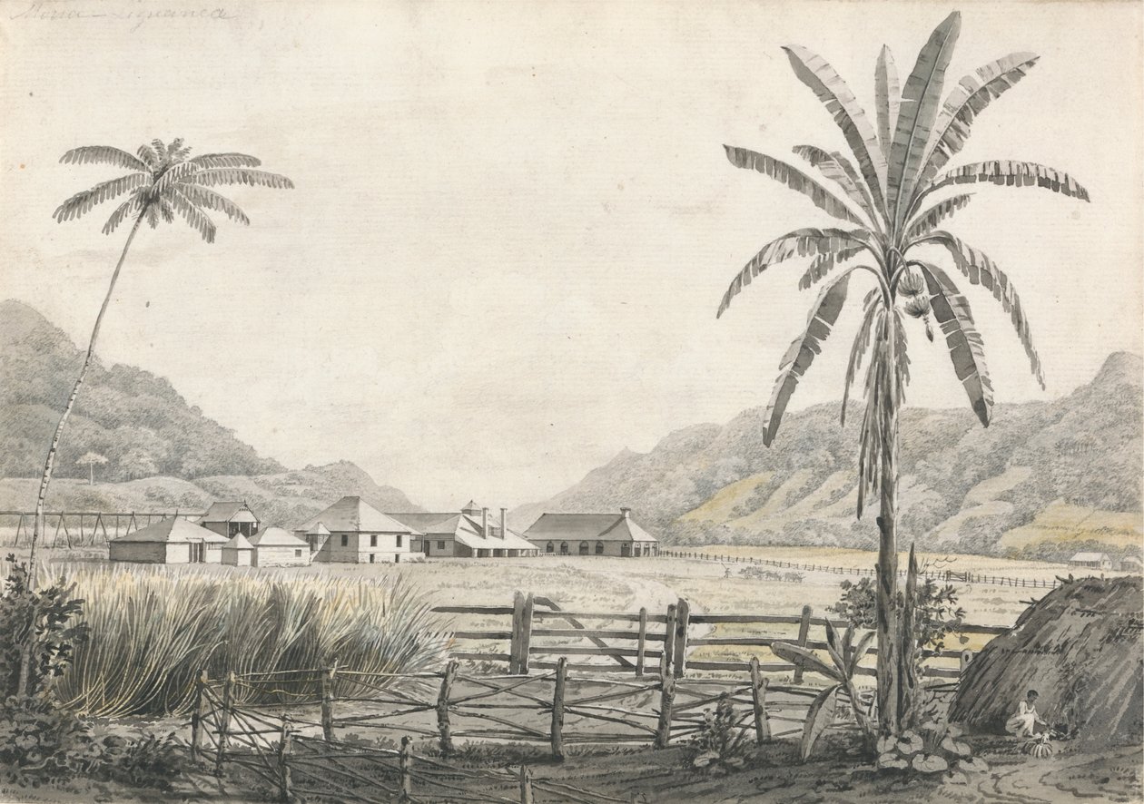 Udsigt over Hall-head Sugar Plantation, Jamaica af Edward Kennion