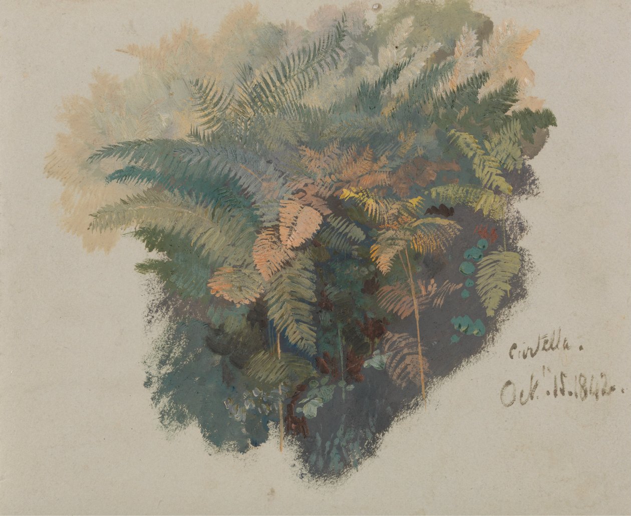 Et studie af bregner, Civitella af Edward Lear