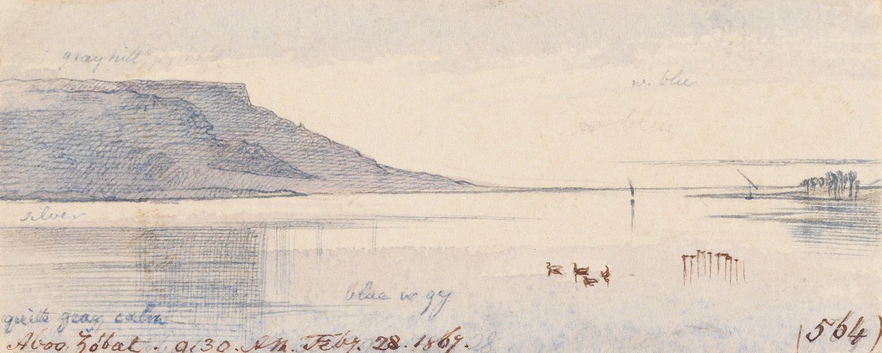 Aboo Zobat; kl. 9.30, den 28. februar 1867 (564) af Edward Lear