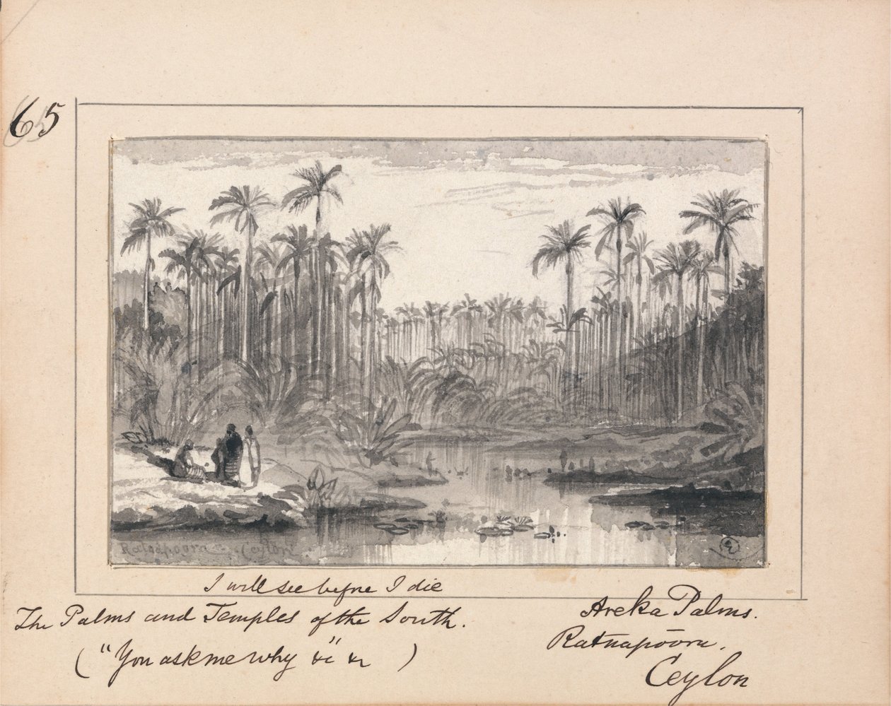 Areka Palms, Ratanapooru, Ceylon - `Jeg vil se, før jeg dør Sydstaternes palmer og templer