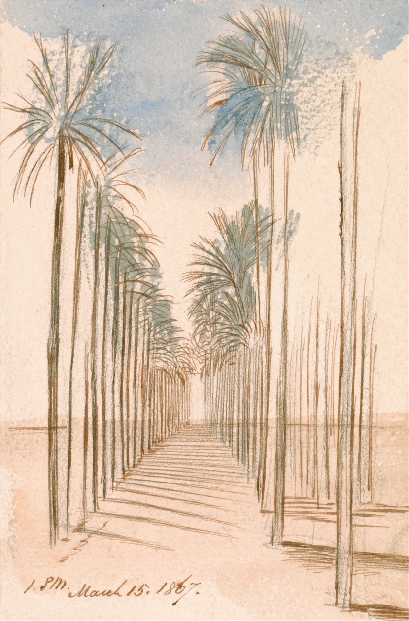 Træernes allé af Edward Lear