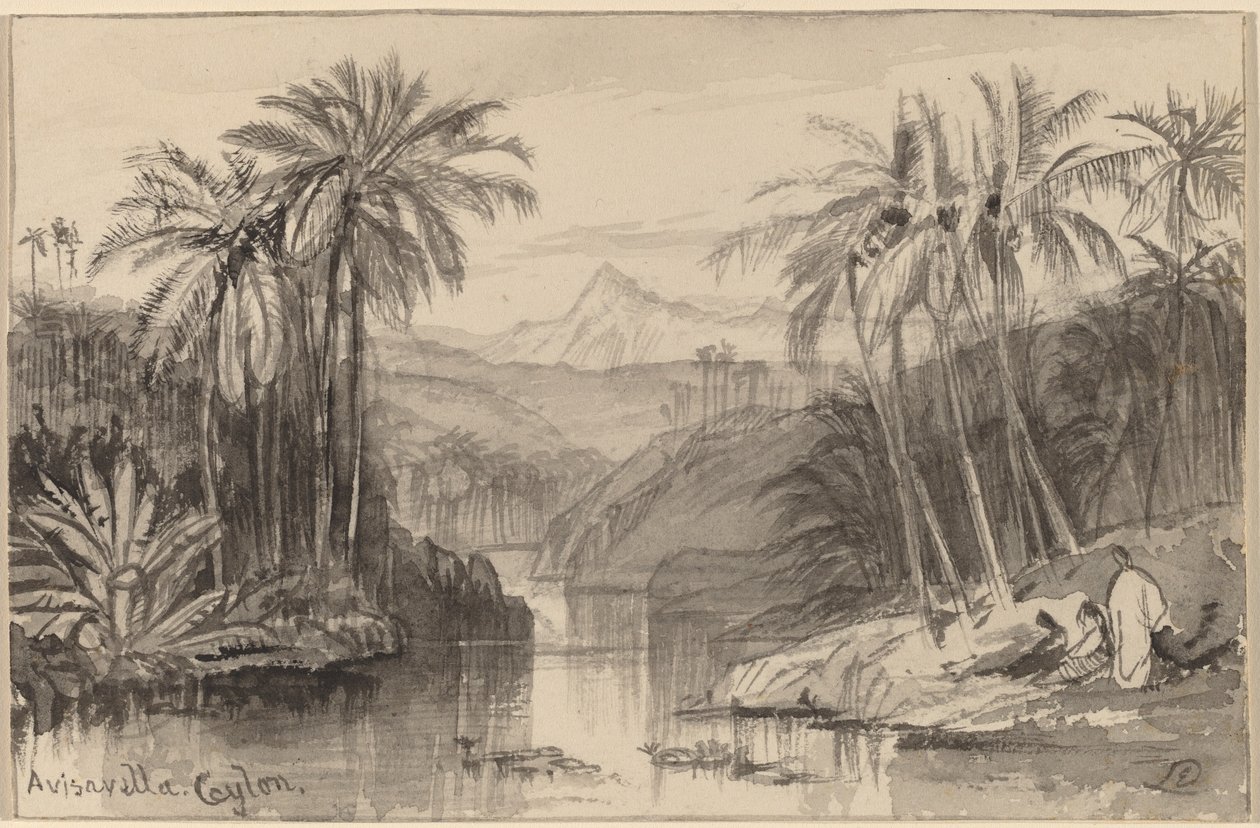 Avisavella, Ceylon af Edward Lear