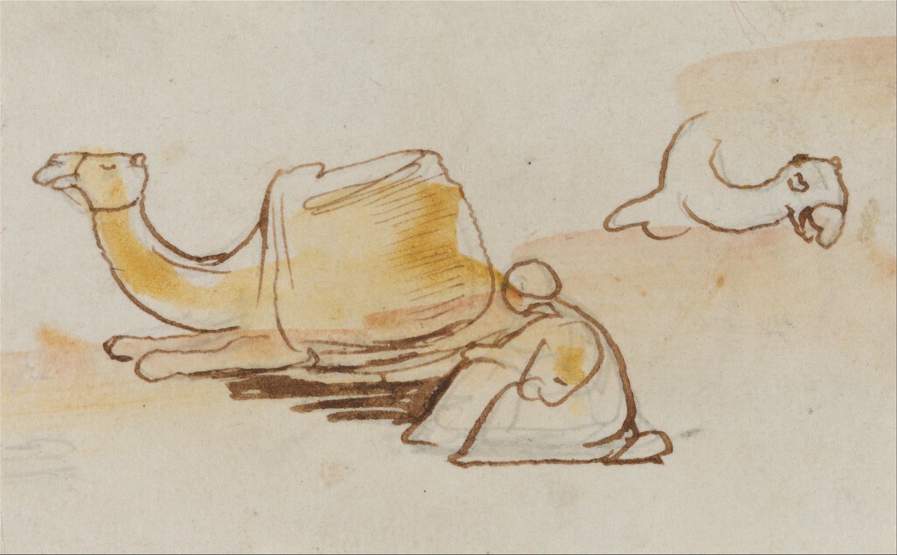 Studier af kameler af Edward Lear