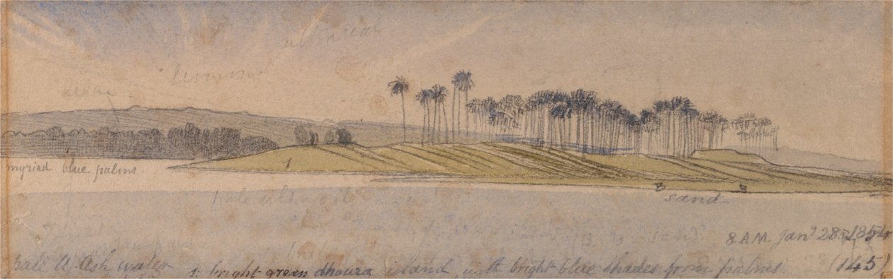 Øen Dhoura af Edward Lear