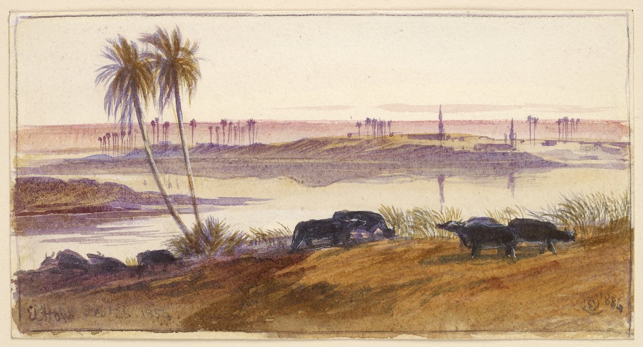 El Hon, Egypten, 1884 (akvarel og pen og blæk med kropsfarve) af Edward Lear