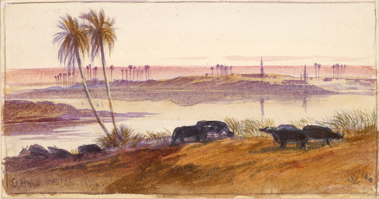 El Hon, Egypten, 1884 af Edward Lear