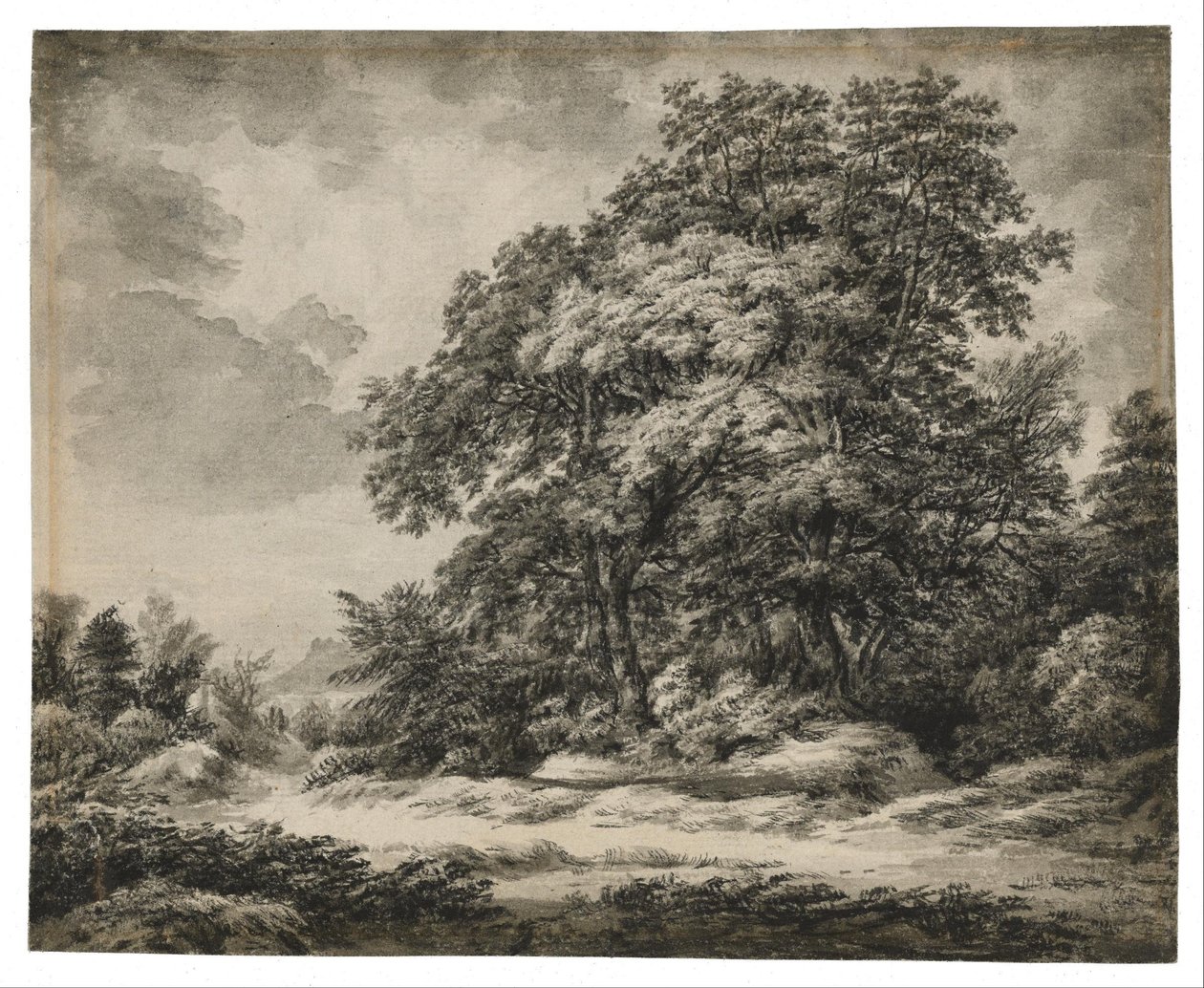 Skovlandskab af Edward Lear