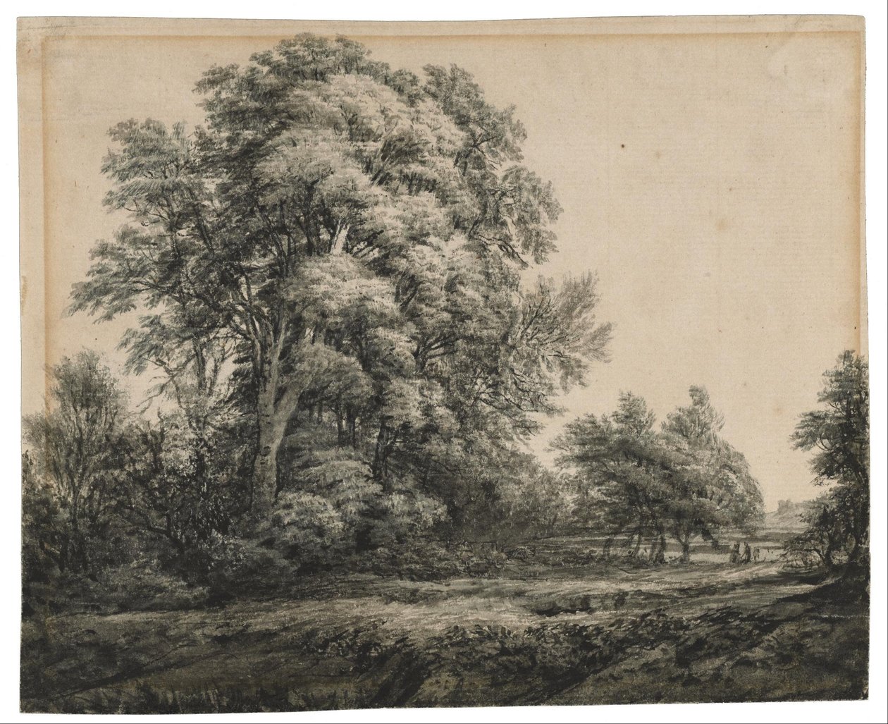 Skovlandskab af Edward Lear