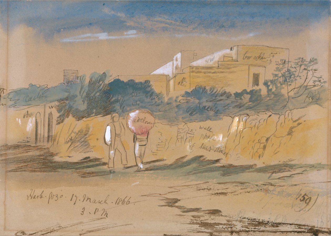 Harb. Gozo af Edward Lear