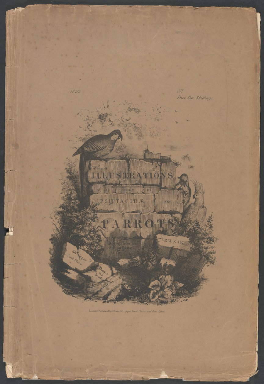 Illustrationer af familien Psittacidae, eller papegøjer, del 1: Folio-omslag, titelside, dedikationsside, abonnentside af Edward Lear