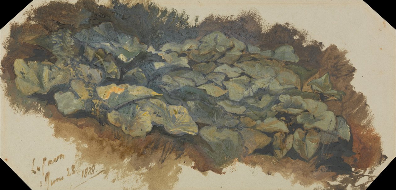 Stenbruddet af Edward Lear