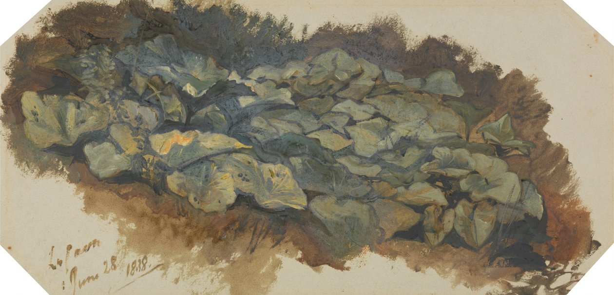 La Cava af Edward Lear