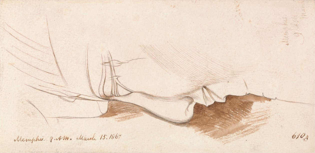 Memphis af Edward Lear