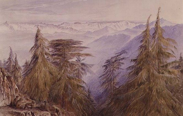 Aber på en klippe i nærheden af Simla, Nordindien af Edward Lear
