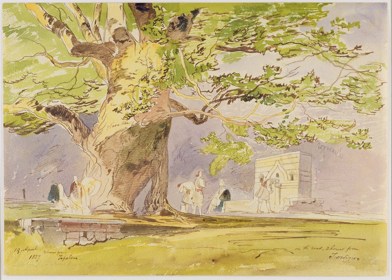På vejen, to timer fra Tepelene af Edward Lear