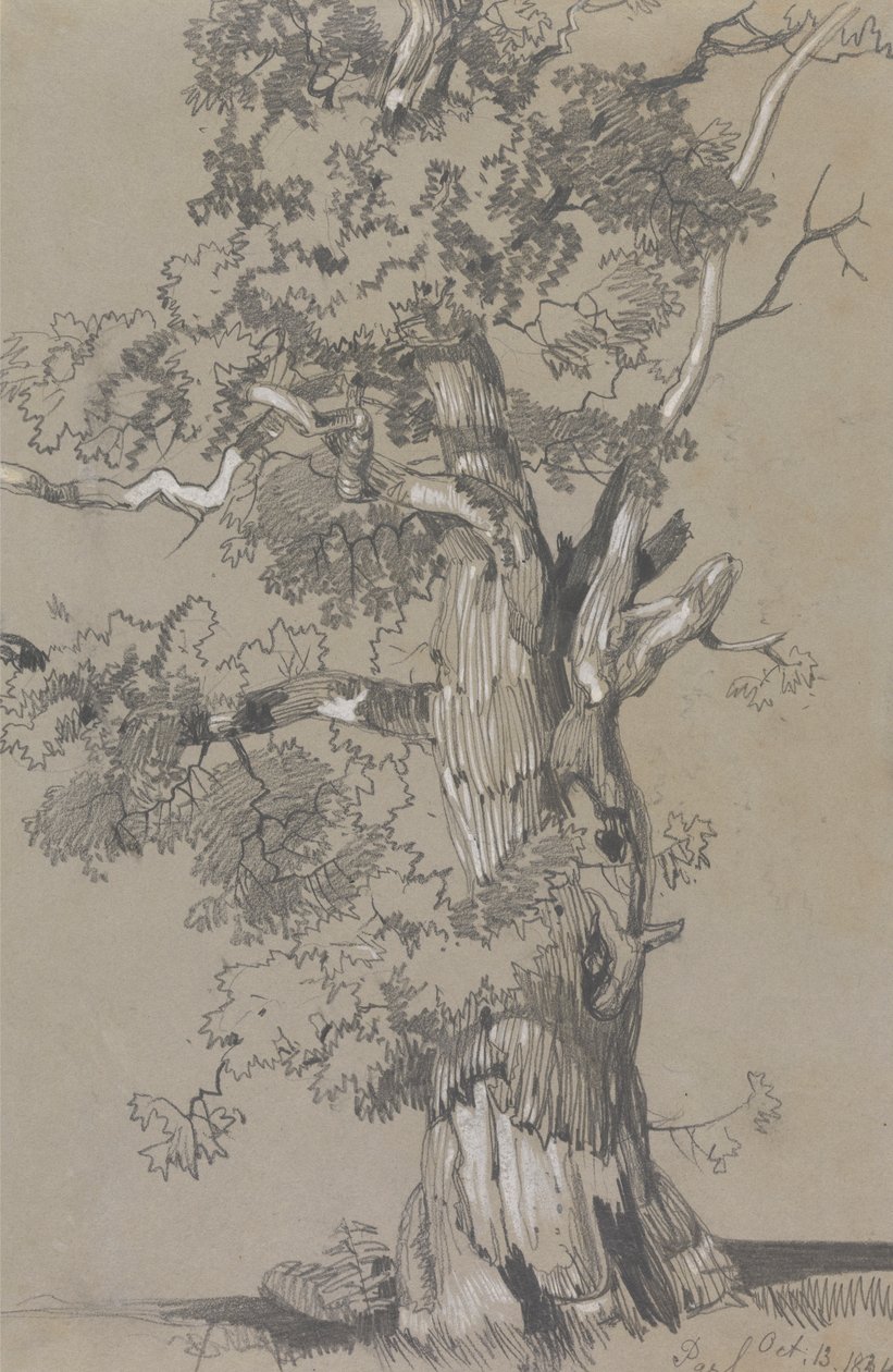 Parham, 13. oktober 1834 af Edward Lear