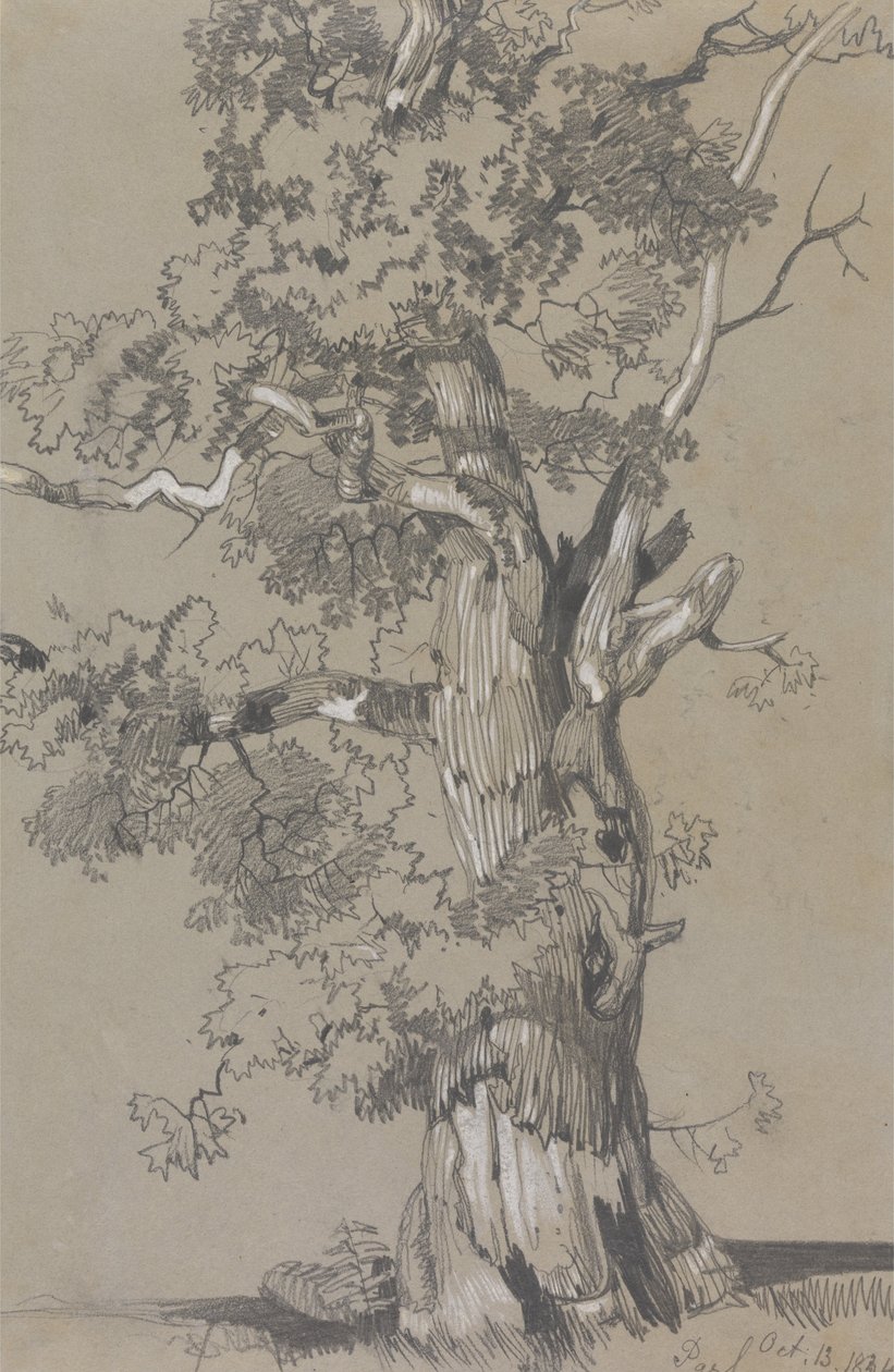 Parham, 13. oktober 1834 af Edward Lear