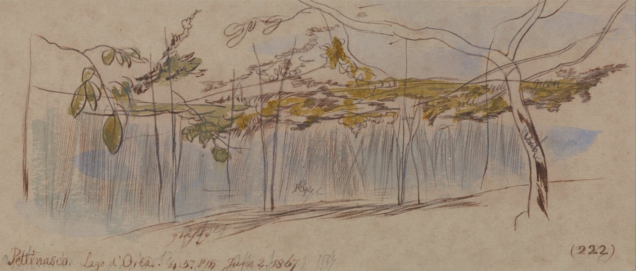 Pettenasco, Ortasøen af Edward Lear
