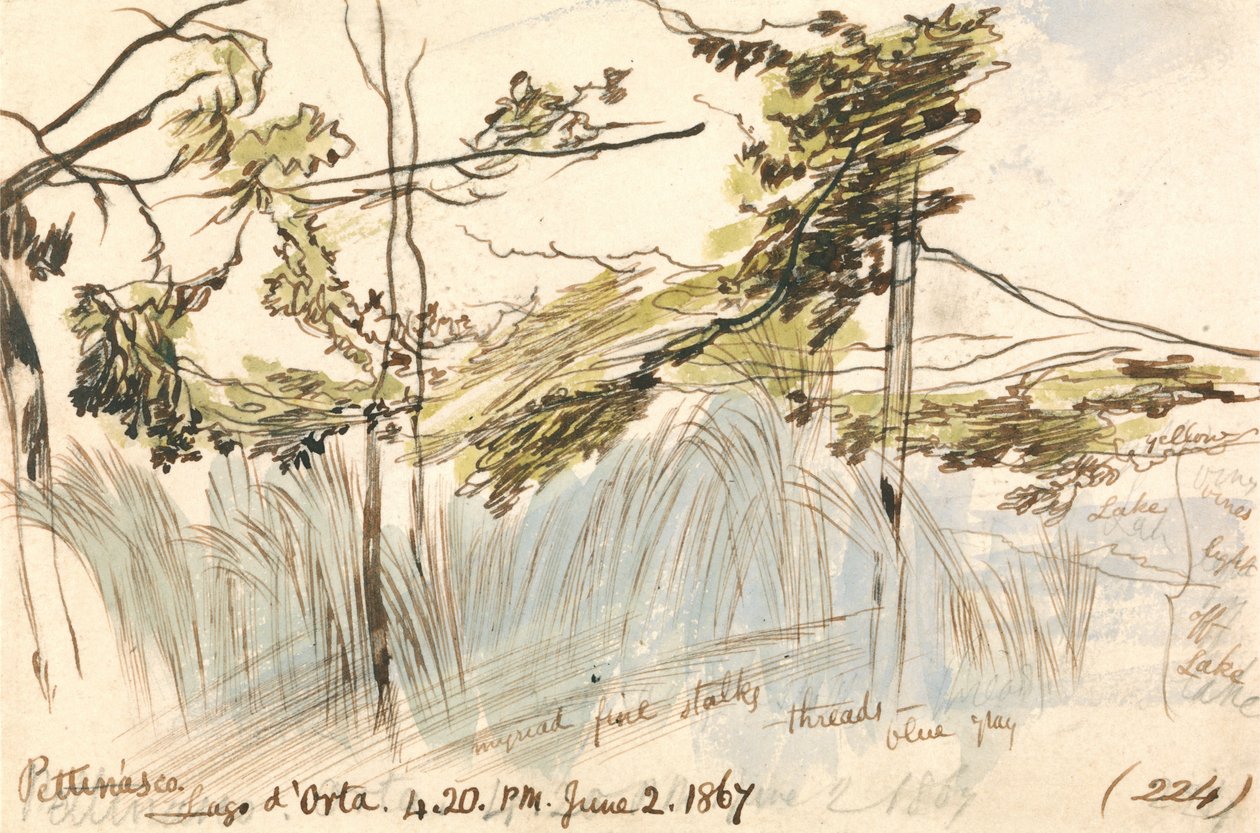 Pettenasco, Ortasøen, kl. 16.20, 2. juni 1867 (224) af Edward Lear