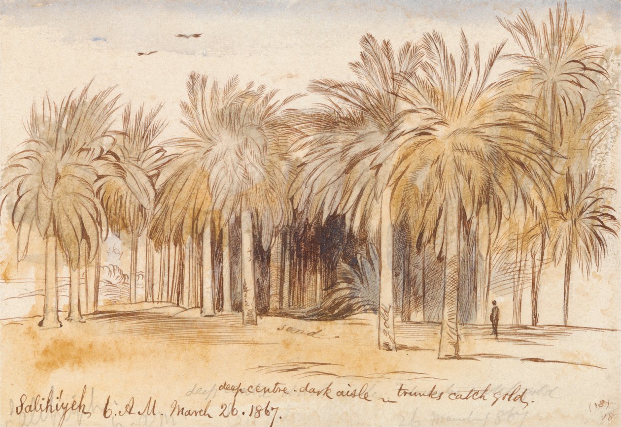Salahiyeh af Edward Lear