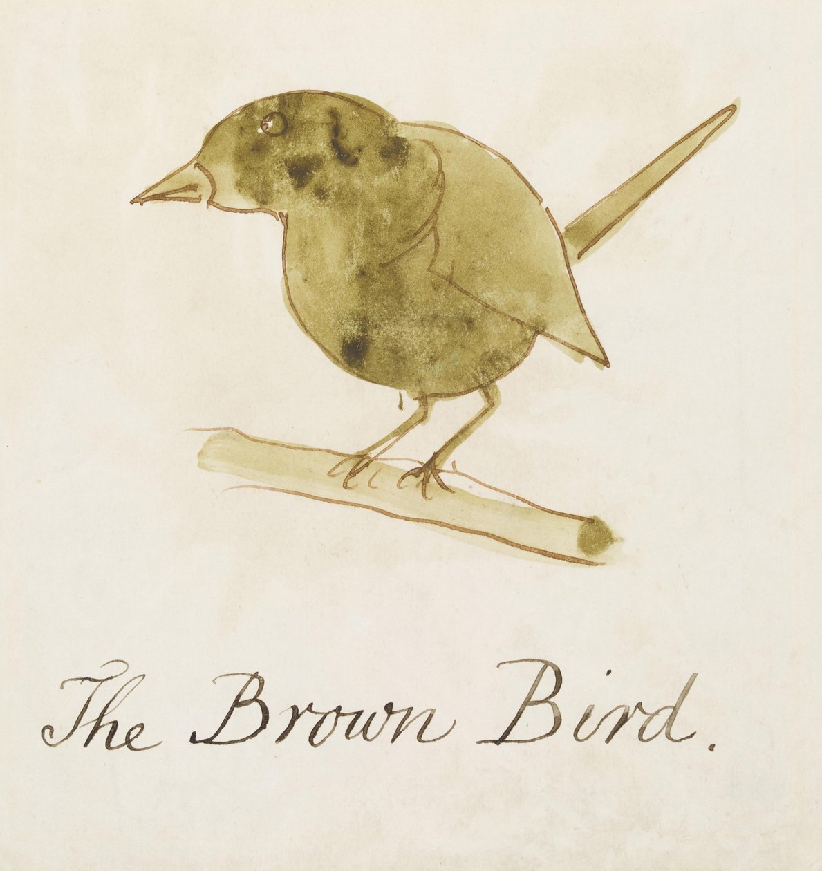 The Brown Bird, fra seksten tegninger af tegneseriefugle (pen & blæk wc på papir) af Edward Lear