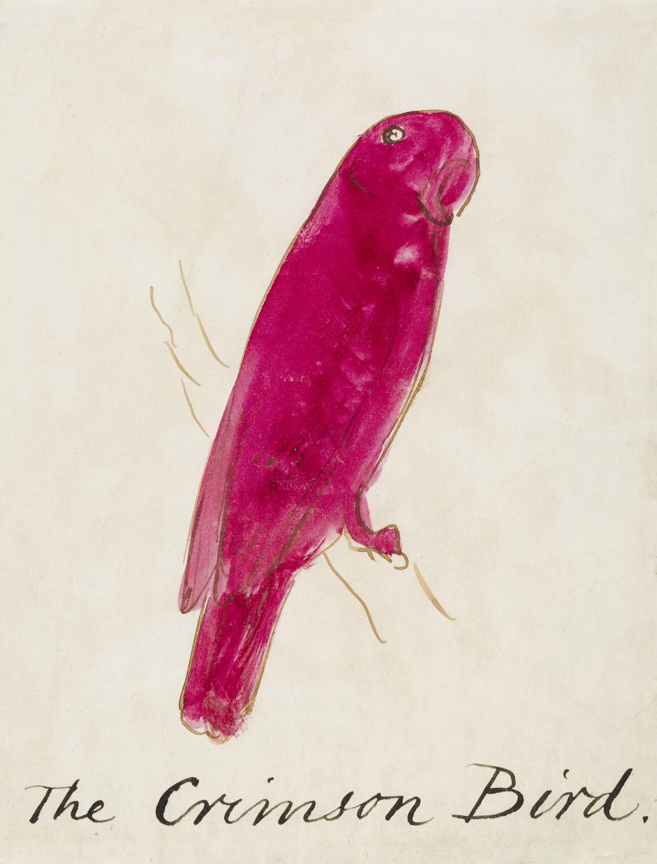 The Crimson Bird, fra Sixteen Drawings of Comic Birds (pen & blæk wc på papir) af Edward Lear