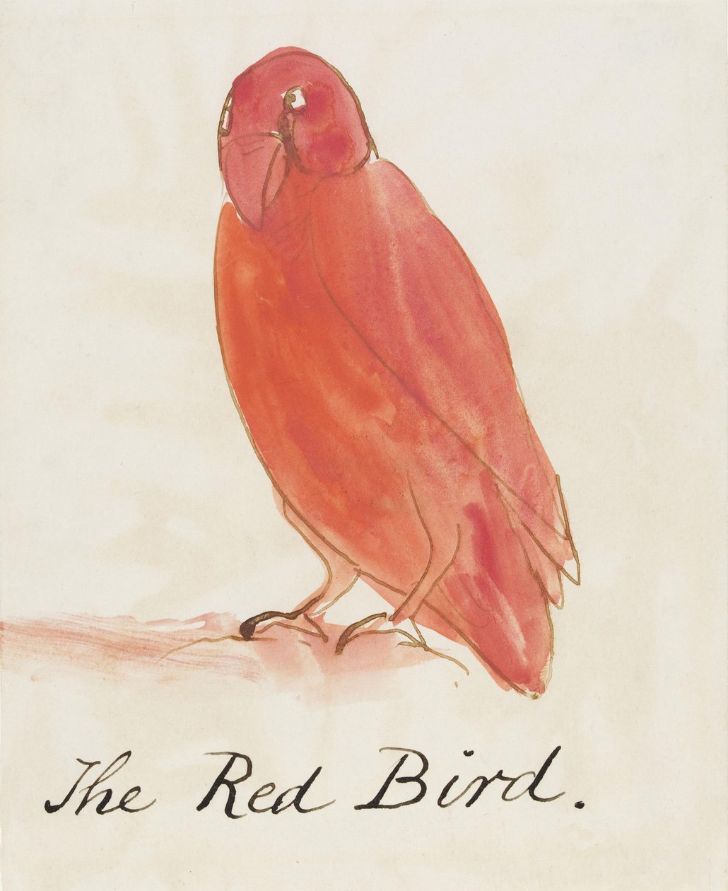 Den røde fugl, fra seksten tegninger af tegneseriefugle (pen og blæk wc på papir) af Edward Lear
