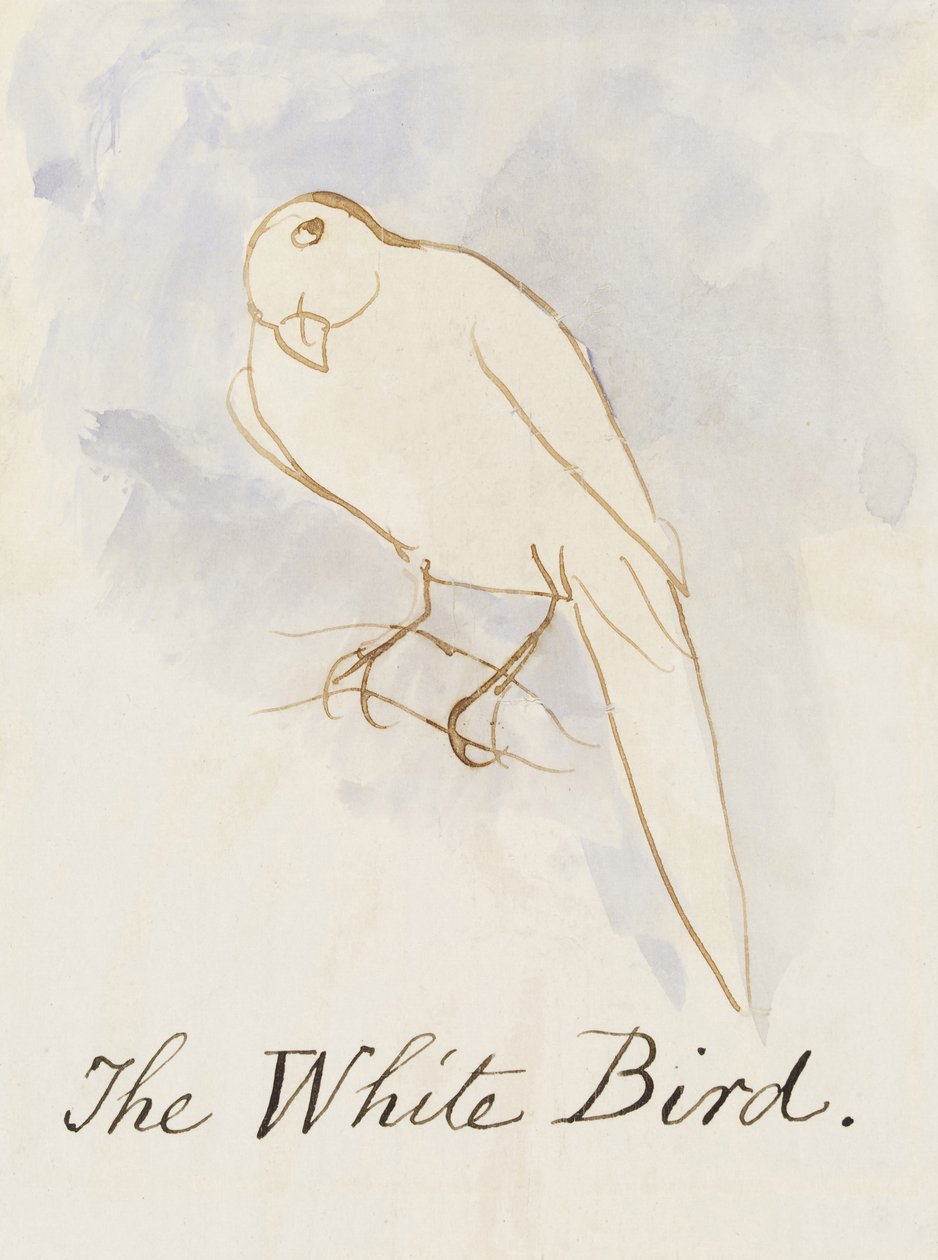 Den hvide fugl, fra seksten tegninger af tegneseriefugle (pen & blæk wc på papir) af Edward Lear