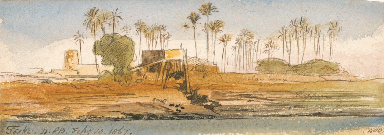 Toske af Edward Lear