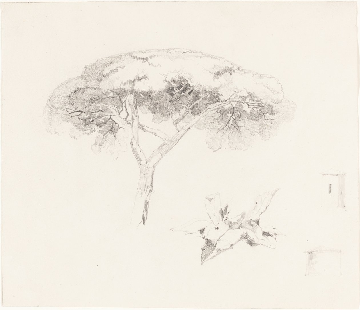Paraplyfyr og andre undersøgelser af Edward Lear