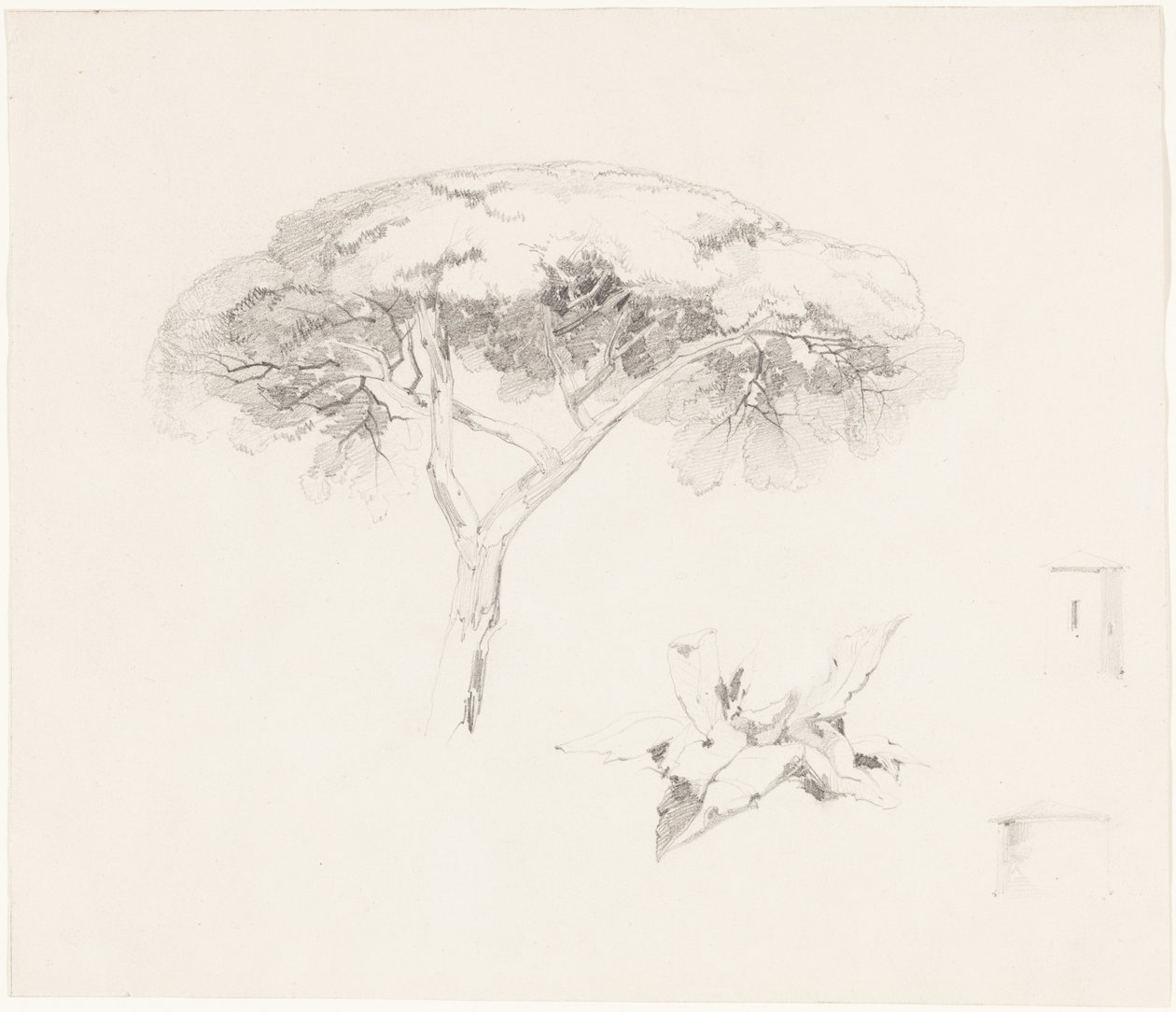 Paraplyfyr og andre studier af Edward Lear