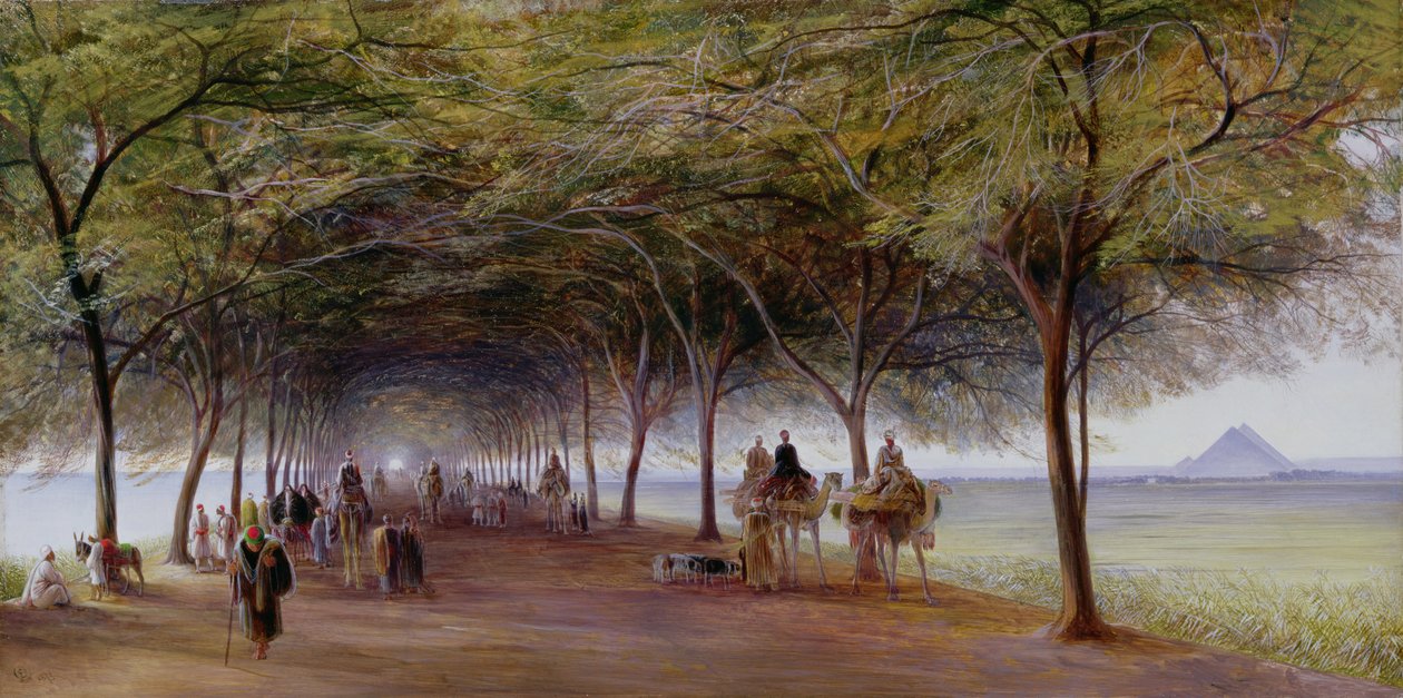 Udsigt over Pyramids Road, Giza af Edward Lear