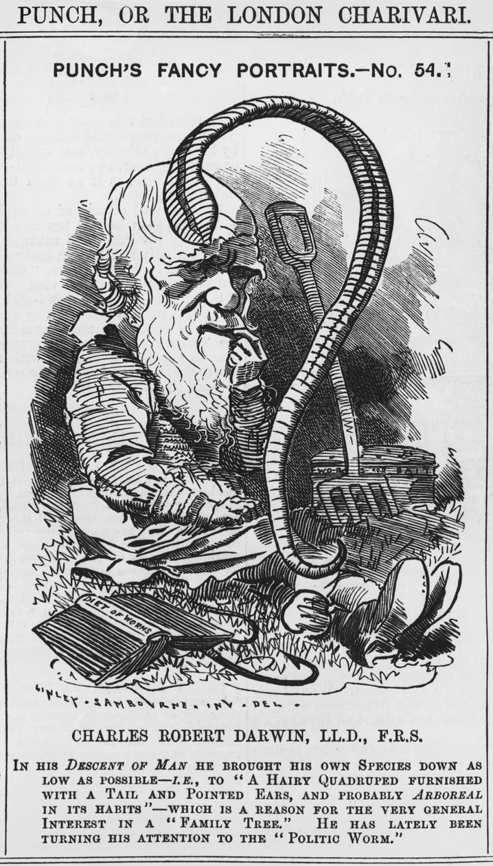 Charles Darwin, Punchs fancy portrætter, nr. 54, illustration fra 