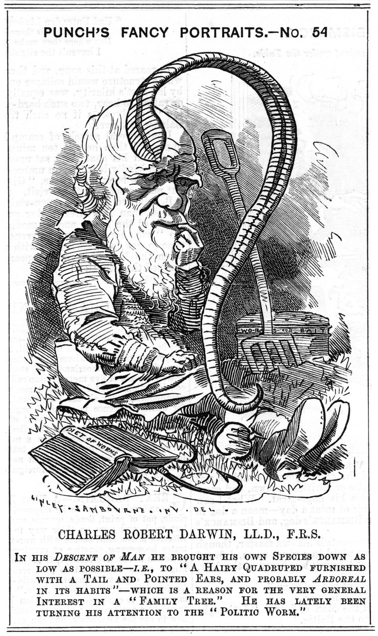 Charles Darwin (1809-1882) engelsk naturforsker. Evolution ved naturlig udvælgelse. Tegneserie af Edward Linley Sambourne (1844-1910) i Fancy Portrait-serien i Punch, London 1881, året Darwin udgav The Formation of Vegetable Mold gennem handlingen af Edward Linley Sambourne