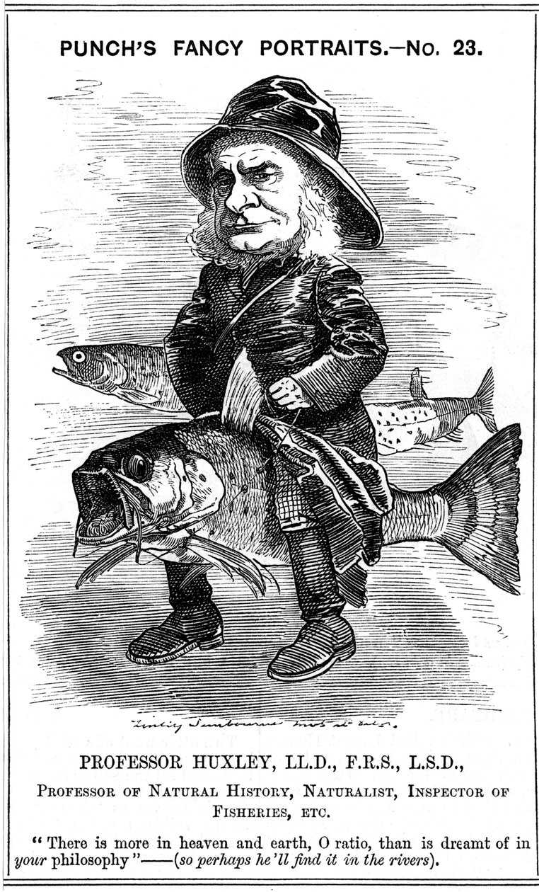 Thomas Henry Huxley, engelsk biolog, 1881 af Edward Linley Sambourne